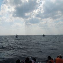 クジラがいるところには、ほかのショップの船もありました。