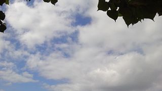 可愛らしい雰囲気