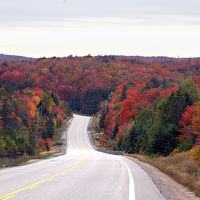 ６０号線の紅葉