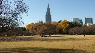 都会のオアシス