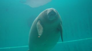 のんびりした気になれます