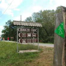 何もない所（奥）で待たされて、あまりうれしくなかったようです