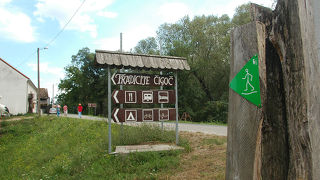 チャーターには慣れていません