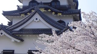 桜の海の中にそびえる城