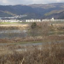 桂川の合流点