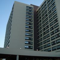 玄関から上向きに撮影してみました