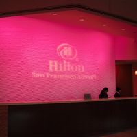 フロントのピンクが印象的