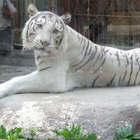 東武動物公園