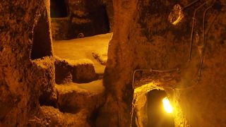 中は蟻の巣の様になっていました。