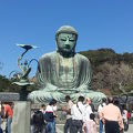 鎌倉といったら大仏