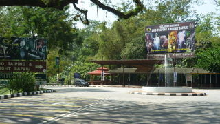 のんびりだが意外に充実している動物園　ナイトサファリもあり