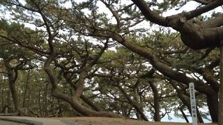 羽衣伝説にふさわしい場所