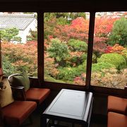 神戸で紅葉を眺めながら静かにコーヒーを飲むならここ