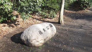 徳生公園は高層マンション群に囲まれた、大きな池のある都会のオアシスです。