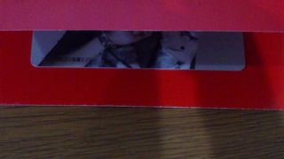 グンちゃんファンはうれしい