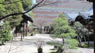 梅が一点の美を添える