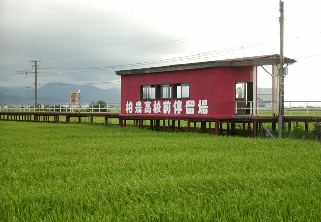 柏農高校前駅