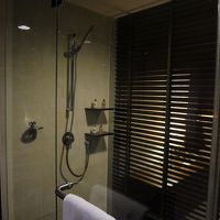 シャワールームは広いですがバスダプはないです