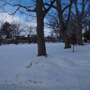 一面の雪世界の薬師公園