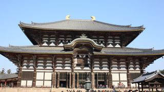 やっぱり大仏は見ごたえあり！