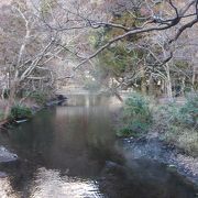 夕方より早朝の方がよかった