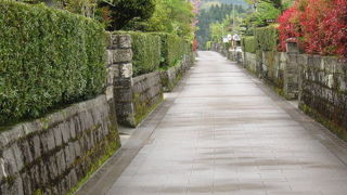 日本一の大クスとセットで散策できる武家屋敷