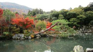 天に描かれた龍は迫力満点！！