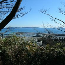 児玉源太郎が愛した風景(境内から三浦半島)