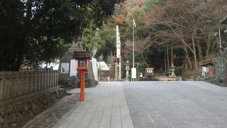 梅はまだ早かった