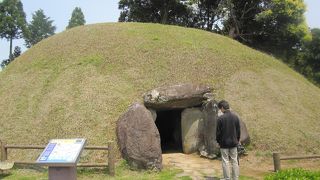 掛木古墳はこんもり。