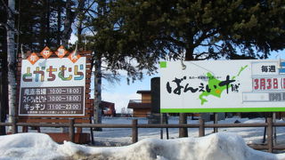 馬がちょっとかわいそうにも