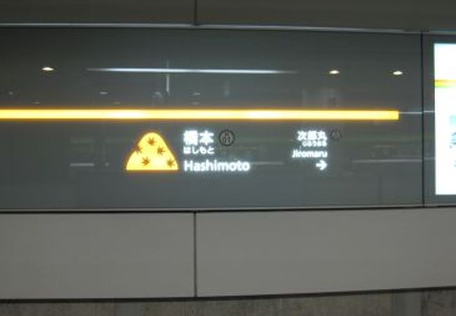 橋本 photo_1912807.jpg