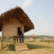 広大な土地にポツポツと建ってます。