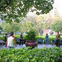 朝は太極拳の風景を見ることができます