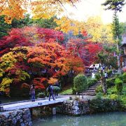 丹波篠山で一番の紅葉の名所！