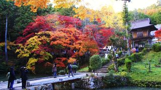 丹波篠山で一番の紅葉の名所！