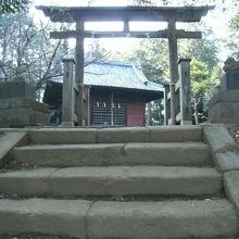 木造の鳥居・狛犬崩れて