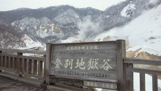 食えるのか？？