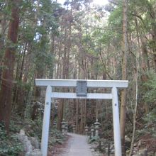 途中に鳥居が見えてきます