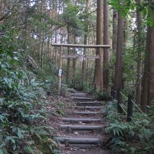 更に上り80段+200ｍ先へ行くと・・・