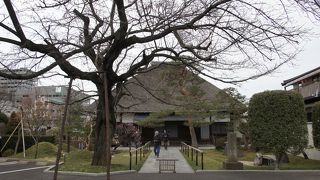 さいたま市指定有形文化財の阿弥陀三尊図像月待供養塔板碑が墓地の中にあります