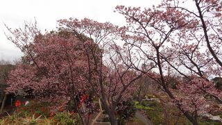 城ヶ崎海岸のついでに