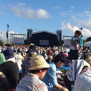 毎年のap bank fes'の会場です