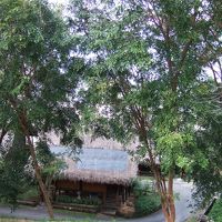 部屋からの景色