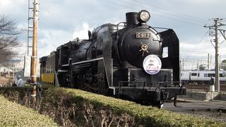 春一番、汽笛に誘われて