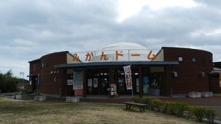 「みかんドーム」という名前が付いていました