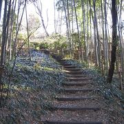 烏山公園は、横浜市営地下鉄「中川駅」に近い、自然がそのまま残った公園です。