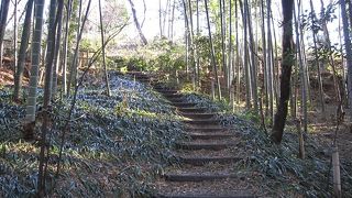 烏山公園は、横浜市営地下鉄「中川駅」に近い、自然がそのまま残った公園です。