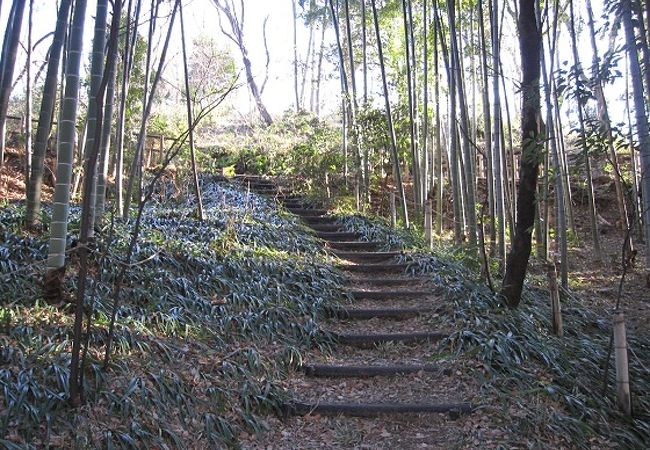 烏山公園は、横浜市営地下鉄「中川駅」に近い、自然がそのまま残った公園です。