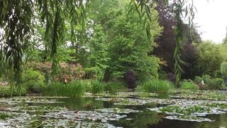 モネワールドを体感